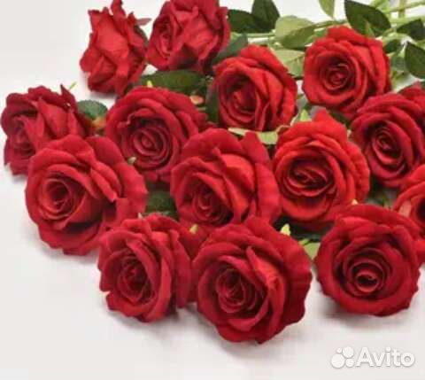 Красные розы