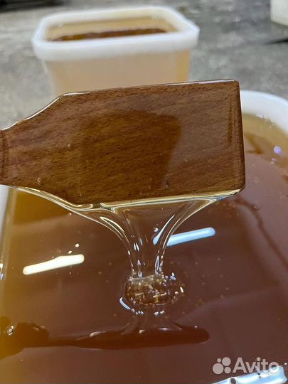 Натуральный мёд майский. 2023 г. Опт