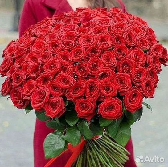 Высокие розы Гигантские розы Доставка цветов