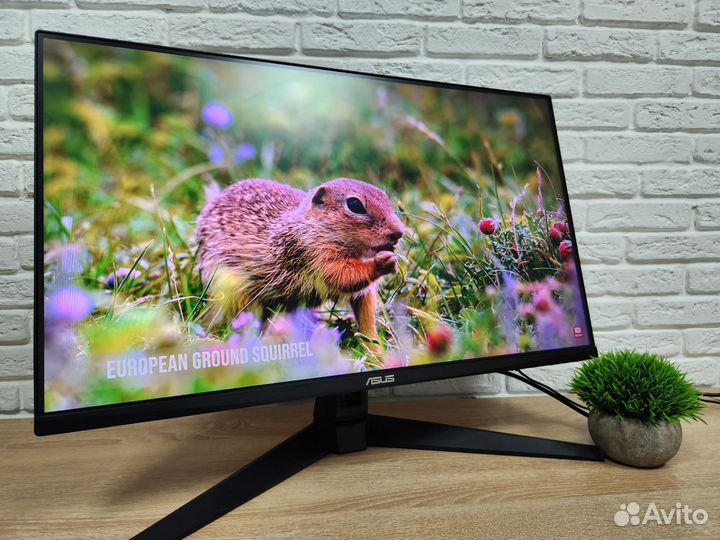 Монитор asus tuf gaming 165hz 27 дюймов