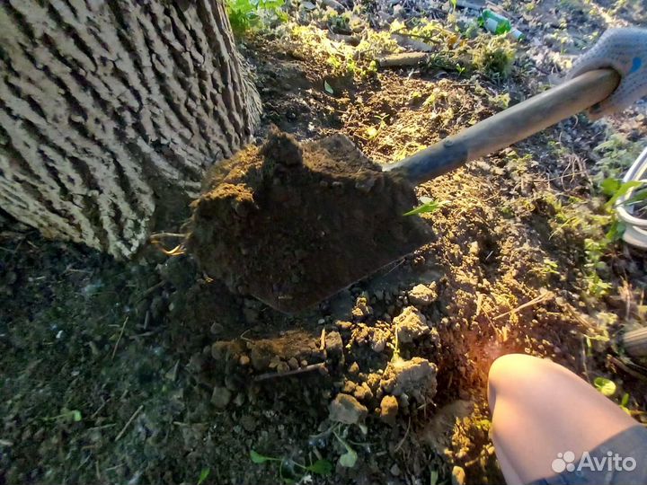 Перегной сыпец 2г,чернозем садовый,смесь 1/20м.куб