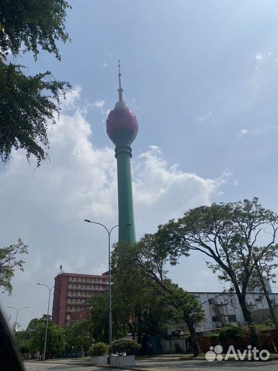 Аудит готового бизнеса