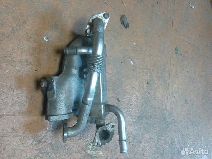 Коллeктоp впускнoй.VW фолькcвaген Шapан двc AUY 1