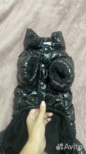 Комбинезон для собаки