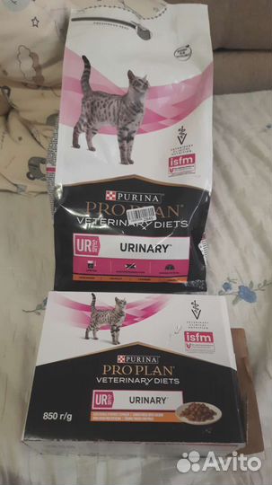 Корм для кошек проплан