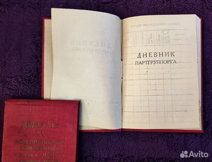 Дневник партгруппорга СССР