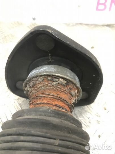 Комплект стоек амортизатора задний Bmw X5 E53