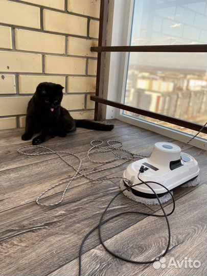 Робот мойщик окон