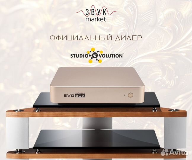 Караоке для дома Evolution Evobox Gold