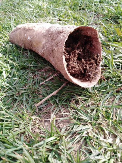 Биодинамическое земледелие