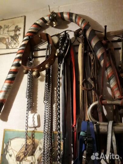 Амуниция для лошади