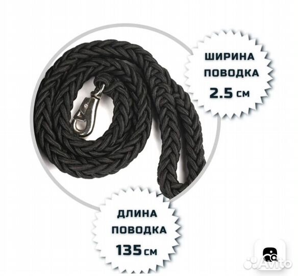 Ошейник и поводок для крупных собак