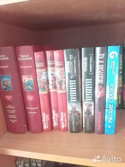 Книги Роман Злотников