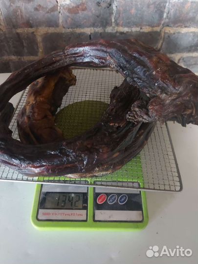 Корм для собак