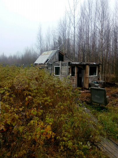 Дача 20 м² на участке 10 сот.