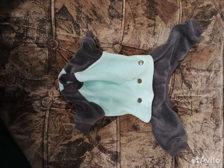 Одежда для маленьких собак