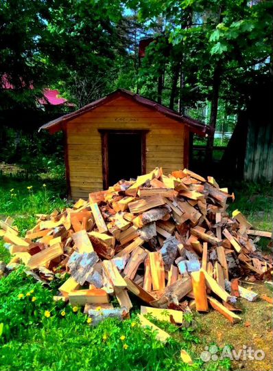 Дрова Береза