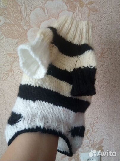 Одежда для маленьких собак