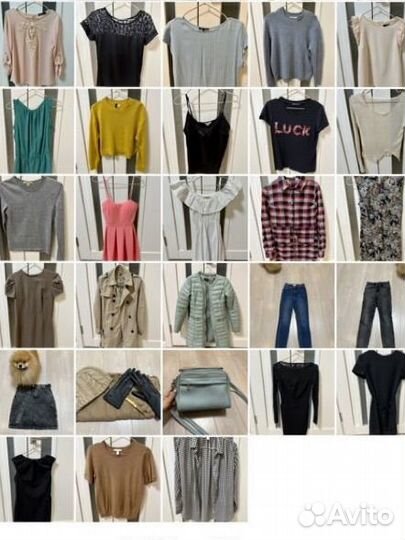 Женская одежда