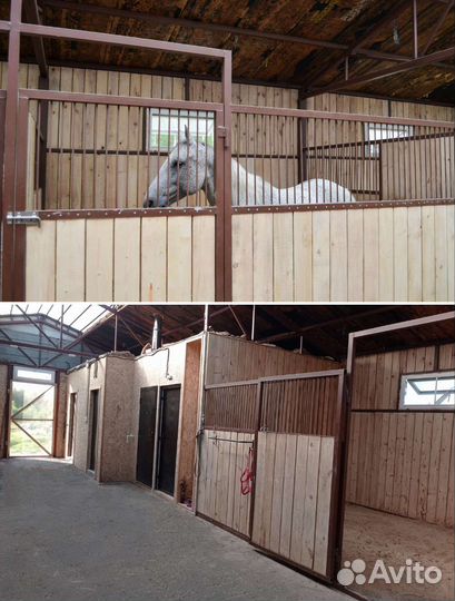 Постой лошадей