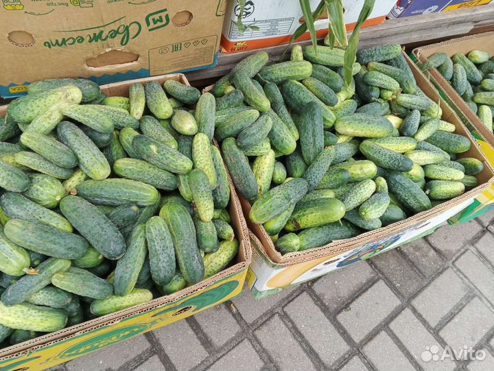 Продукты питания