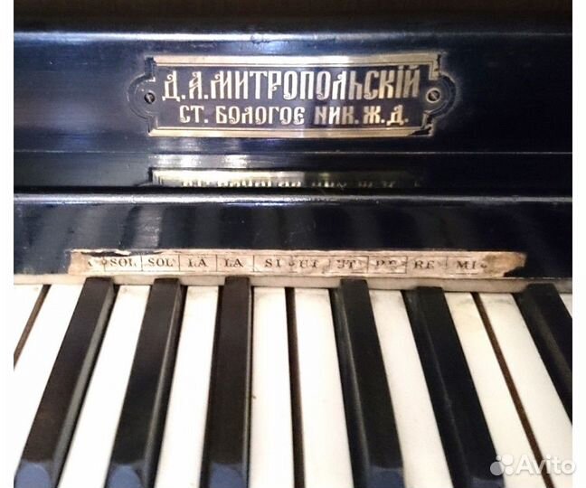 Фисгамония