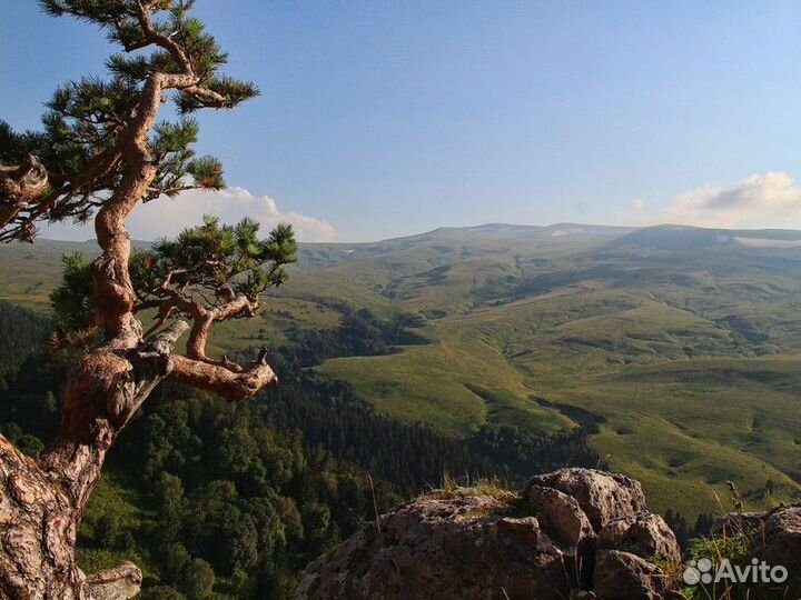 Экскурсия — Краснодар — Адыгея и плато Лаго-Наки и