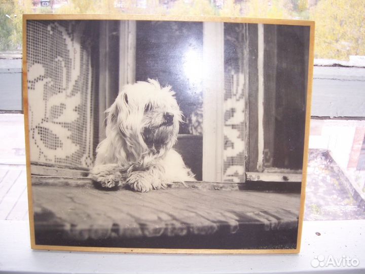 Картина фото на деревянной основе 