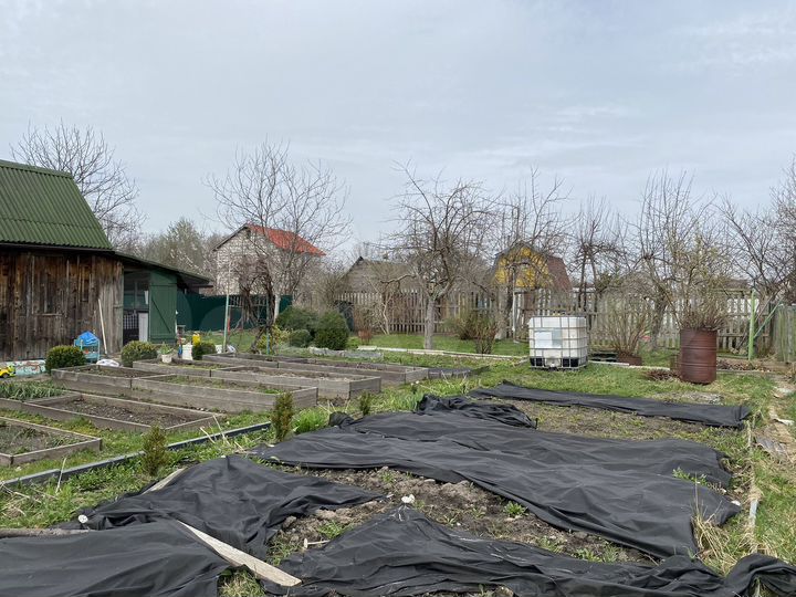 Участок 4,9 сот. (СНТ, ДНП)