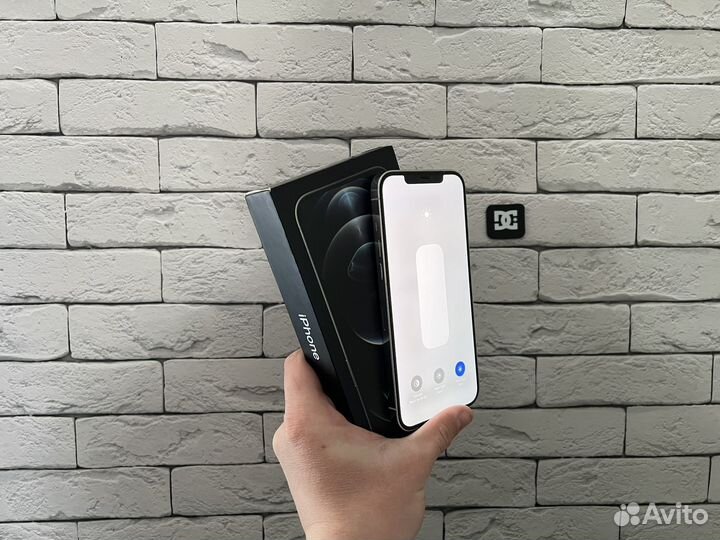 iPhone 12 Pro Max, 256 ГБ