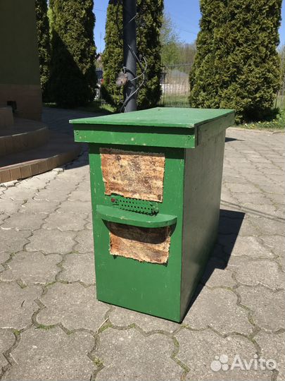 Продам пчел и пасеку