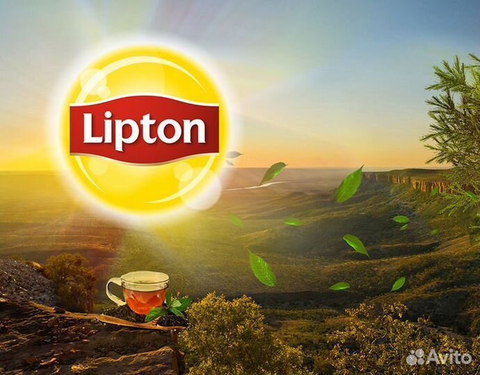 Упаковщик чая с проживанием и питанием вахта