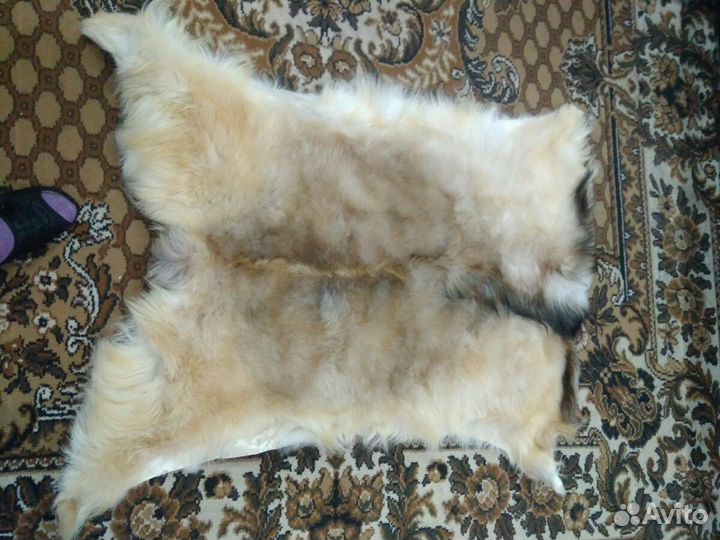 Продам овечью шкуру