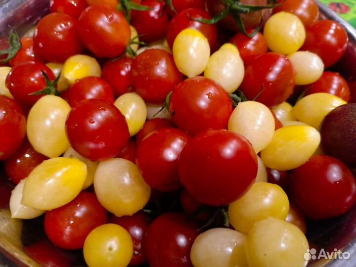 Томаты черри сладкие вкусные