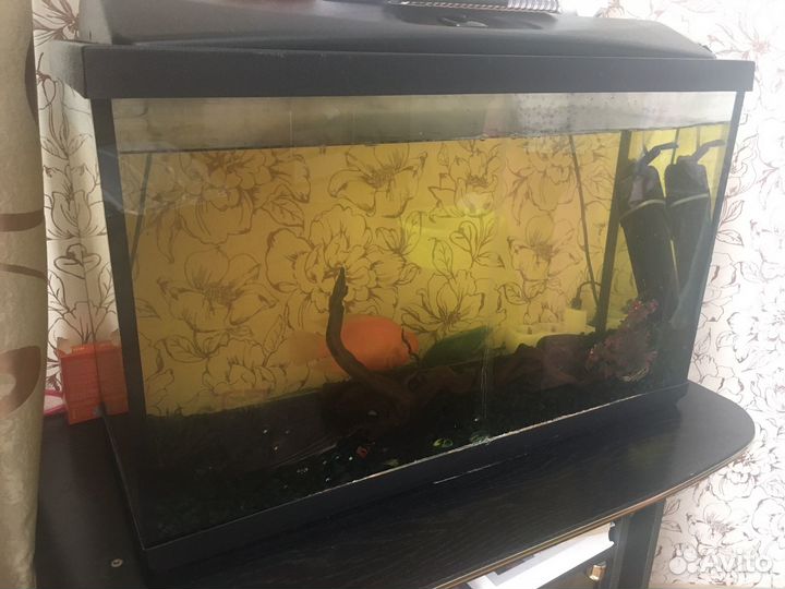 Аквариум 120 литров