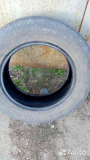 Toyo Proxes CF2 195/65 R15