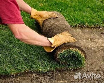 Газон от производителя