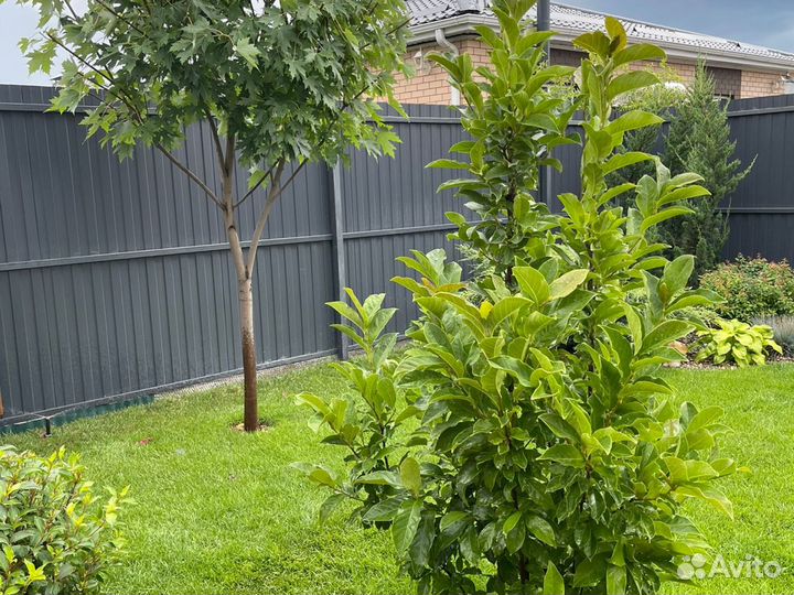 Ремонт автополива, автополив, монтаж автополива