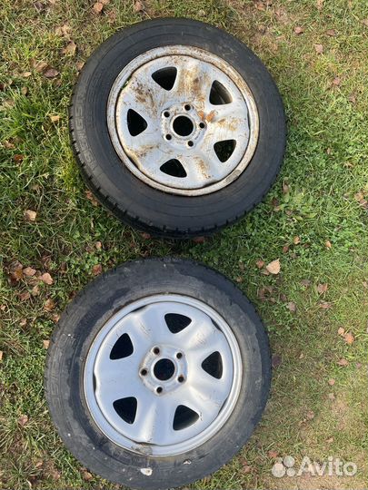 Volcano Longitude 4/65 R15