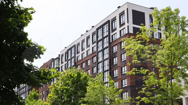 1-к. квартира, 56,5 м², 1/9 эт.