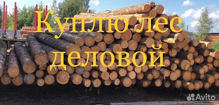 Лес кругляк