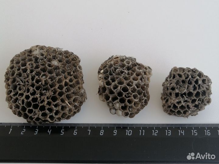 Осиное гнездо для поделок