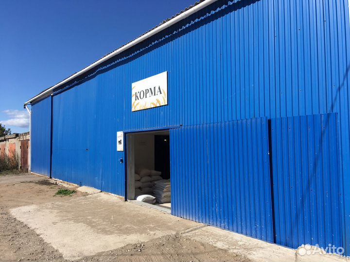 Пшеница, ячмень, корма для животных