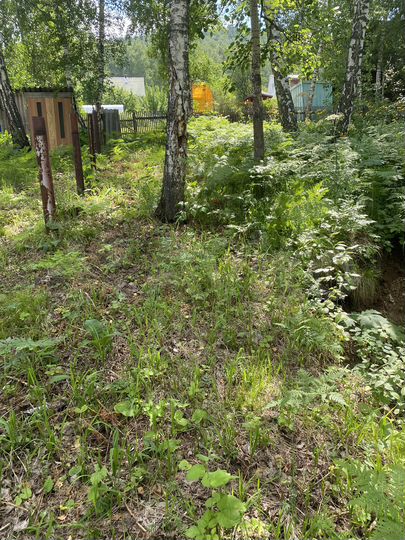 Участок 6,2 сот. (СНТ, ДНП)