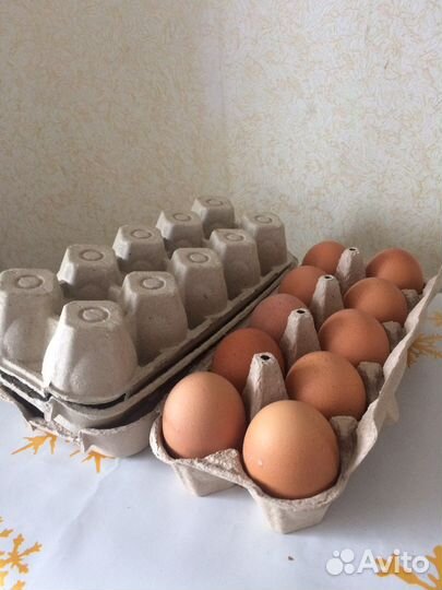 Упаковка под яйцо