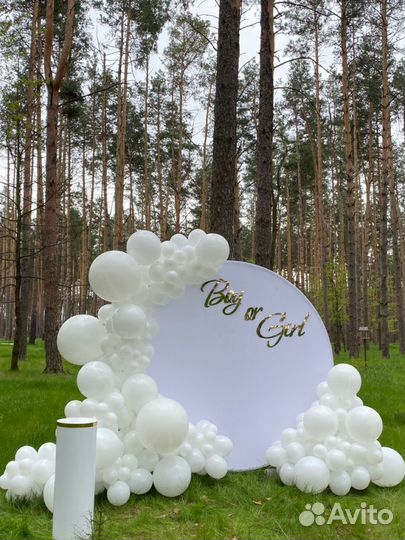 Фотозона на гендер пати