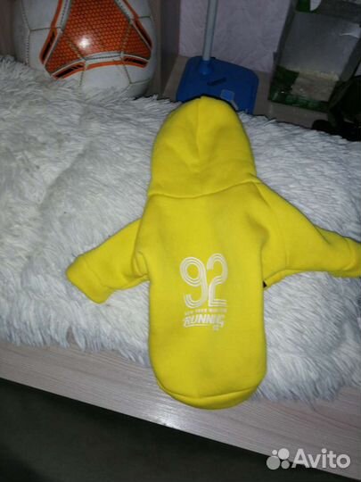 Одежда для собак мелких пород