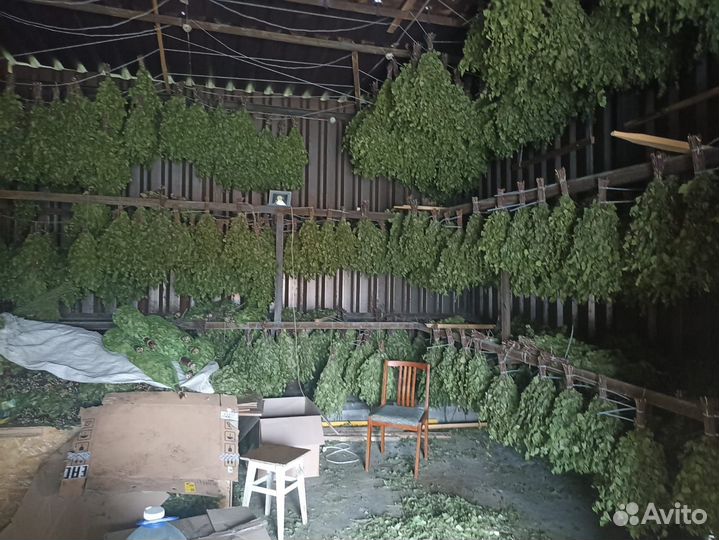 Донник травы полынь веник для бани опт