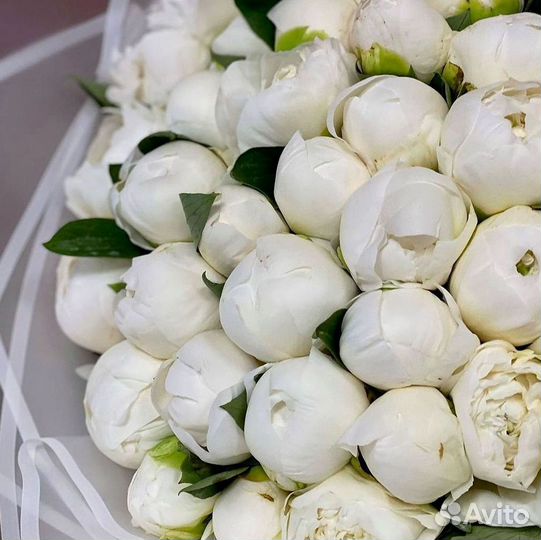 Пионы Розы Доставка