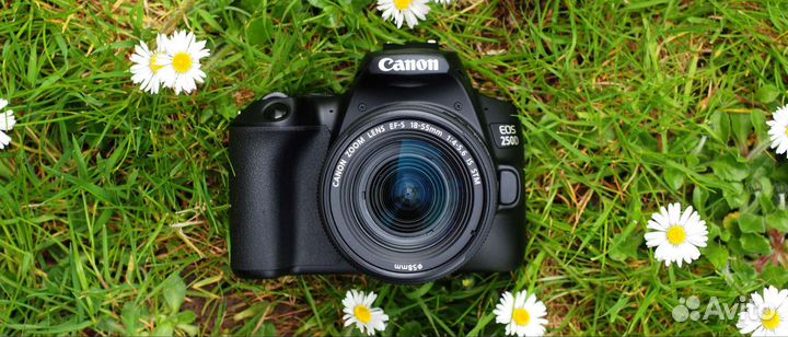Фотоаппарат canon 250d